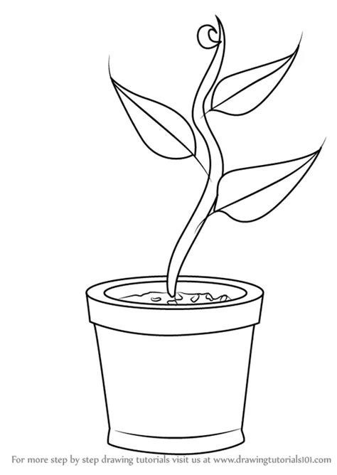 盆栽畫法|兒童簡筆畫一盆植物 How to Draw a Plant in Pot ...